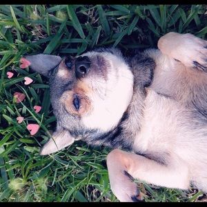 Meet your Posher, Nayelli